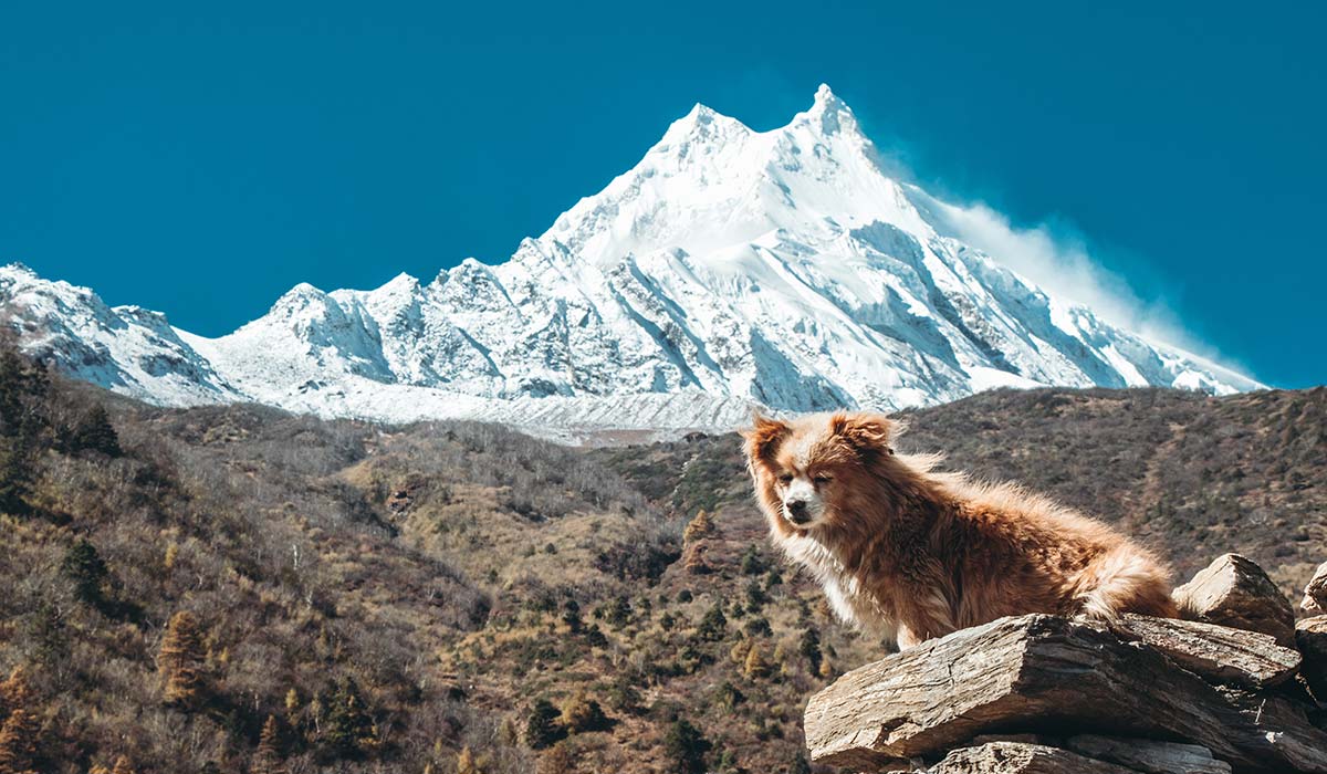 Manaslu Trek